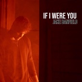 If I Were You artwork