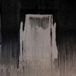 Avvitagalli - Stay Anonymous