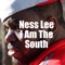 I Am the South (feat. CoCo Jones) - Ness Lee lyrics