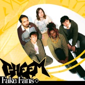 Fake Fans by CHEEM