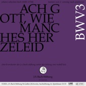 Bachkantate, BWV 3 - Ach Gott, wie manches Herzeleid (Live) - EP artwork