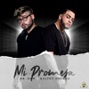 Mi Promesa - Single