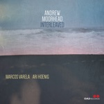Andrew Moorhead - Entropy: No Going Back (feat. Marcos Varela & Ari Hoenig)