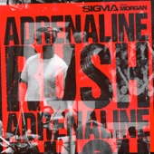 Adrenaline Rush (feat. Morgan) artwork