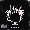 CAPSULE.