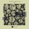 A Quark in Time - Audio Units lyrics