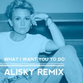 What I Want You To Do (Alisky Remix) artwork