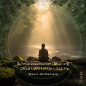 Stevin McNamara - Sunrise Meditation ( Bhairavi) - Forest Bathing - 432 Hz