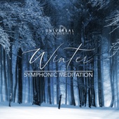 Winter Symphonic Meditation artwork