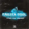 Frozen Soul (feat. Icy Narco) - Single album lyrics, reviews, download