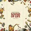 Stream & download Sound of Life, Vol. 2