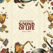 Sound of Life, Vol. 2 artwork