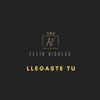 Llegaste Tu - Single