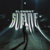 Survive - Single