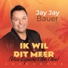 Ik Wil Dit Meer (Viva España Olee Olee) - Single