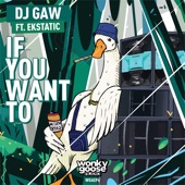 If You Want To (feat. Ekstatic) - Single