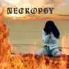 Necropsy