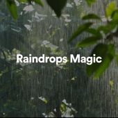 Raindrops Magic artwork