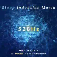 528Hz 睡眠導入音楽 -DNA修復と最高のパフォーマンスを手に入れる- by Sleep Music α album reviews, ratings, credits