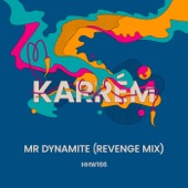 Mr Dynamite (Extended Revenge Mix) artwork