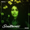 Soultronic 029