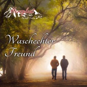 Waschechter Freund artwork