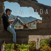 La vida artwork