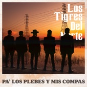 Pa' Los Plebes Y Mis Compas artwork