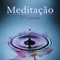 Asiático Meditação Música vol. 2 - Meditação Música Ambiente lyrics
