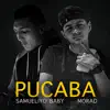 Pucaba - Single album lyrics, reviews, download