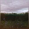 Floodplain // Wildflowers - Single album lyrics, reviews, download