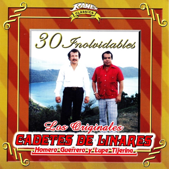 Cover artwork for Desprecio