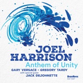 Joel Harrison - The Times They Are A-Changin'