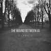 The Wound Between Us - Single