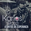 A Gritos De Esperanza - Single