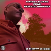 3 Thirty 3 (333) [feat. Donald Sheffey] artwork
