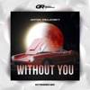 Without You (Extended Mix) - Single