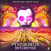 Psychedelic Destroyer artwork