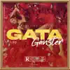 Stream & download Gata Gangster - Single