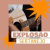 Cê Tá Preparada - Ao Vivo by Tayrone, Marília Mendonça iTunes Track 24