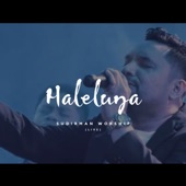 Haleluya (Live) artwork