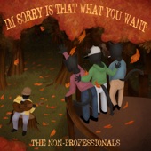 The Non-Professionals - Get Us Nowhere