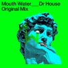 Dr House - Single
