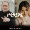 Habibi - Single, 2024