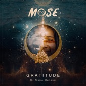 Gratitude (feat. Mario Benassi) artwork