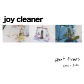 Joy Cleaner - Selling the Mood