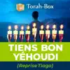 Tiens Bon Yéhoudi (feat. Gabriel Sebbag, Itzik Dadya & Steeve Aston) - Single album lyrics, reviews, download