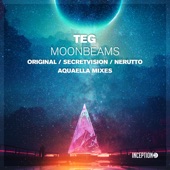 Moonbeams (Secretvision Remix) artwork