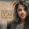 Nesrînokê - Single