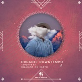 Organic Downtempo artwork